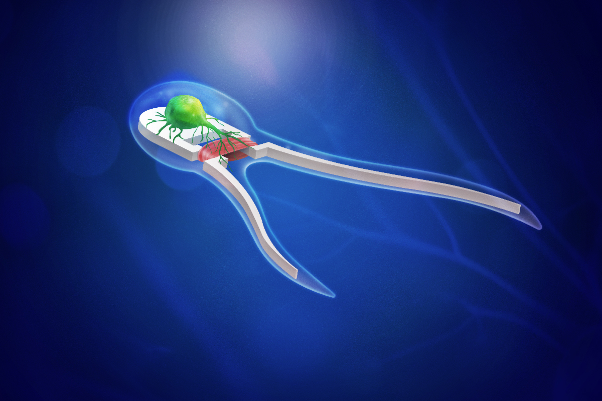 An artist rendering of a new generation of bio-bots – soft robotic devices powered by skeletal muscle tissue stimulated by on-board motor neurons.
