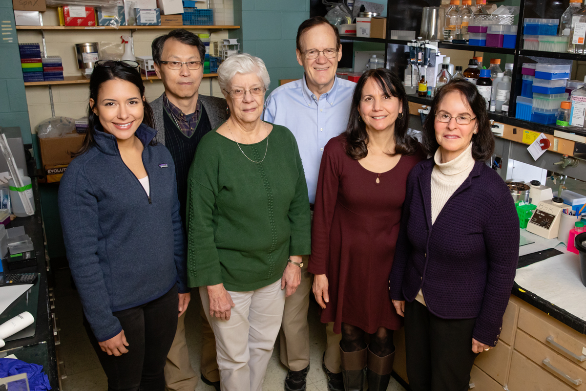 Researchers including, from left, Valeria Sanabria Guillen, Jung Soon Hoon Kim, Kathy Carlson, John Katzenellenbogen, Yvonne Ziegler, and Benita Katzenellenbogen developed new drug agents to inhibit a pathway that contributes to cancer. The compounds killed cancer cells and reduced the growth of breast cancer tumors in mice.