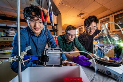 Professor Xiao Su, left, graduate student Stephen Cotty, center, and postdoctoral researcher Kwiyong Kim have developed an energy-efficient device that selectively absorbs a highly toxic form of arsenic in water and converts it into a far less toxic form.