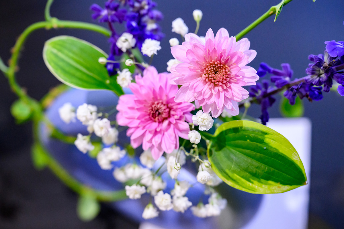 Photo from above of a flower arrangement with pink flowers, accented with small white flowers and purple flowers and two green leaves on each side.