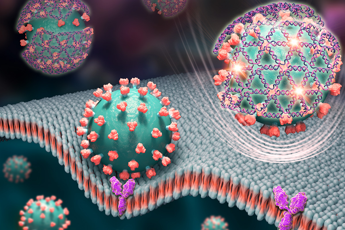 Artists rendering of cornaviruses. A virus in the foreground is wrapped in a DNA net that is giving off a glowing signal.