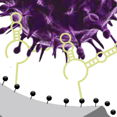 An artist’s rendering of DNA aptamers binding to sites on a virus.