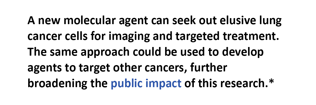 A new molecular agent can seek out elusive lung cancer cells for imaging and targeted treatment. The same approach could be used to develop agents to target other cancers, further broadening the public impact of this research.
